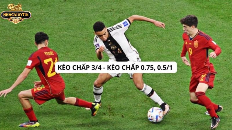 Review chi tiết nhất về kèo 3/4 là gì